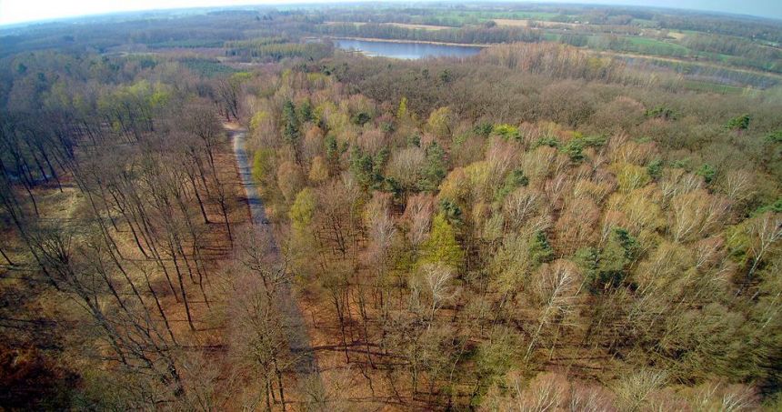 Działki rekreacyjne nad Jeziorem Dobre - zdjęcie 1