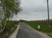 Wycinka Wolska, 124 020 zł, 1.03 ha, rolna miniaturka 5