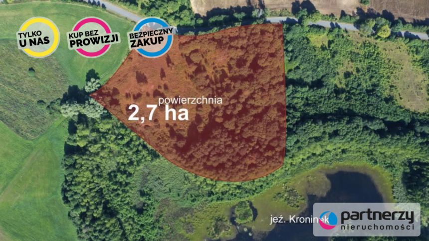 Pasym, 810 000 zł, 2.75 ha, droga dojazdowa asfaltowa miniaturka 4