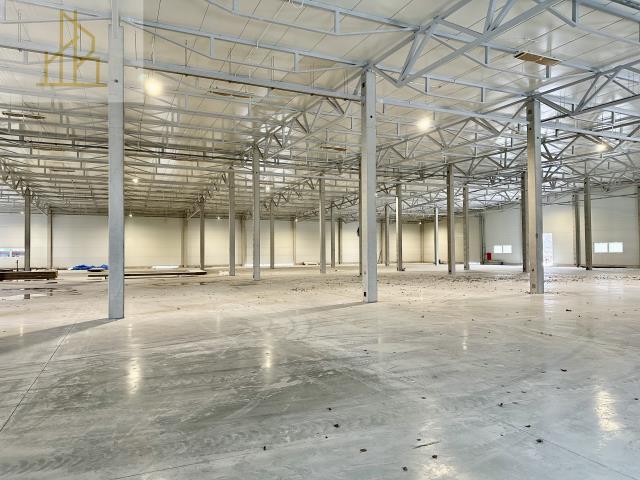 Bielawa, 20 000 zł, 1000 m2, parter miniaturka 2