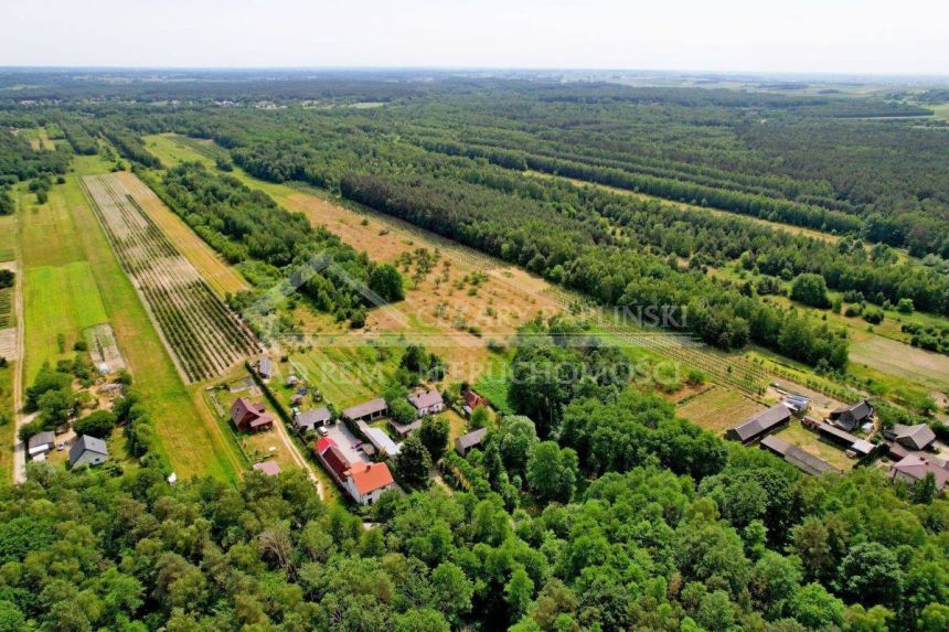 Kazimierz Dolny 2 ha lasu plus siedlisko/rekreacja miniaturka 10