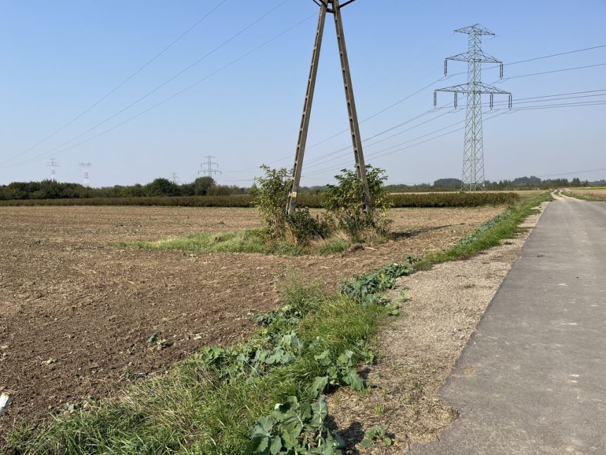 Działka rolno-budowlana 0,62 ha w Gołębiu k/Puław. miniaturka 9