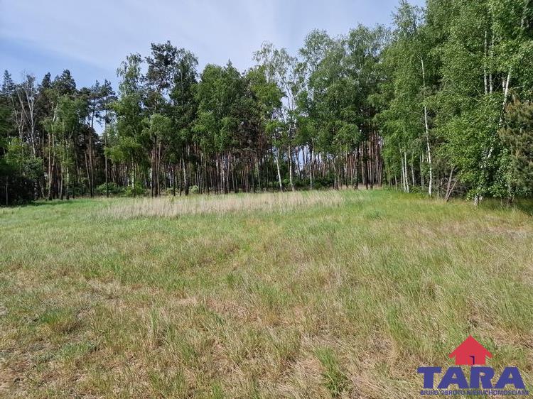 Kierzkowo, 93 000 zł, 9.35 ar, budowlana miniaturka 8