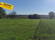 Tarnawa, 700 000 zł, 1.22 ha, droga dojazdowa asfaltowa miniaturka 4