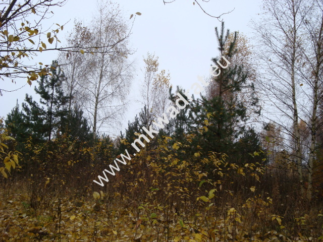 Jesionka, 274 950 zł, 11.7 ar, budowlana - zdjęcie 1