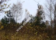 Jesionka, 274 950 zł, 11.7 ar, budowlana miniaturka 1