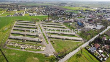 Ferma drobiu, działka 6,8 ha