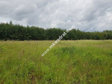 działka  inwestycyjna powyżej 1 ha
