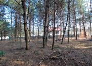 Działka 2197 m2, Niwy Daleszyckie (gm. Daleszyce) miniaturka 17