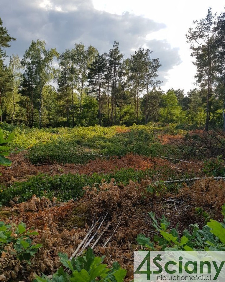 PRZEPIEKNA DZIAŁKA WŚRÓD REZYDENCJI, WIŚNIOWA GÓRA miniaturka 10