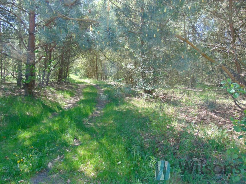 Brzeźce, 230 000 zł, 2.97 ha, przyłącze prądu miniaturka 3