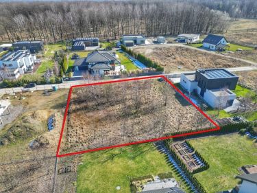 Willowa dzielnica przy lesie, media w drodze