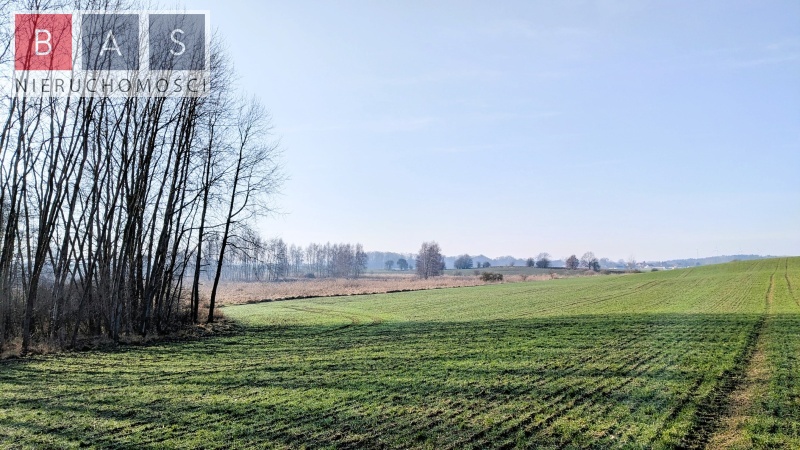 Zamęcin, 89 000 zł, 2.22 ha, prostokątna miniaturka 3