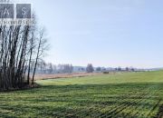 Zamęcin, 89 000 zł, 2.22 ha, prostokątna miniaturka 3