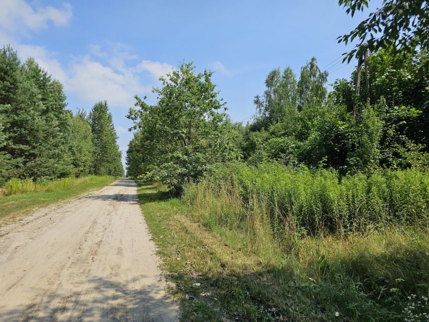 Działka blisko Lasów Kozłowieckich,  Nowodwór miniaturka 8