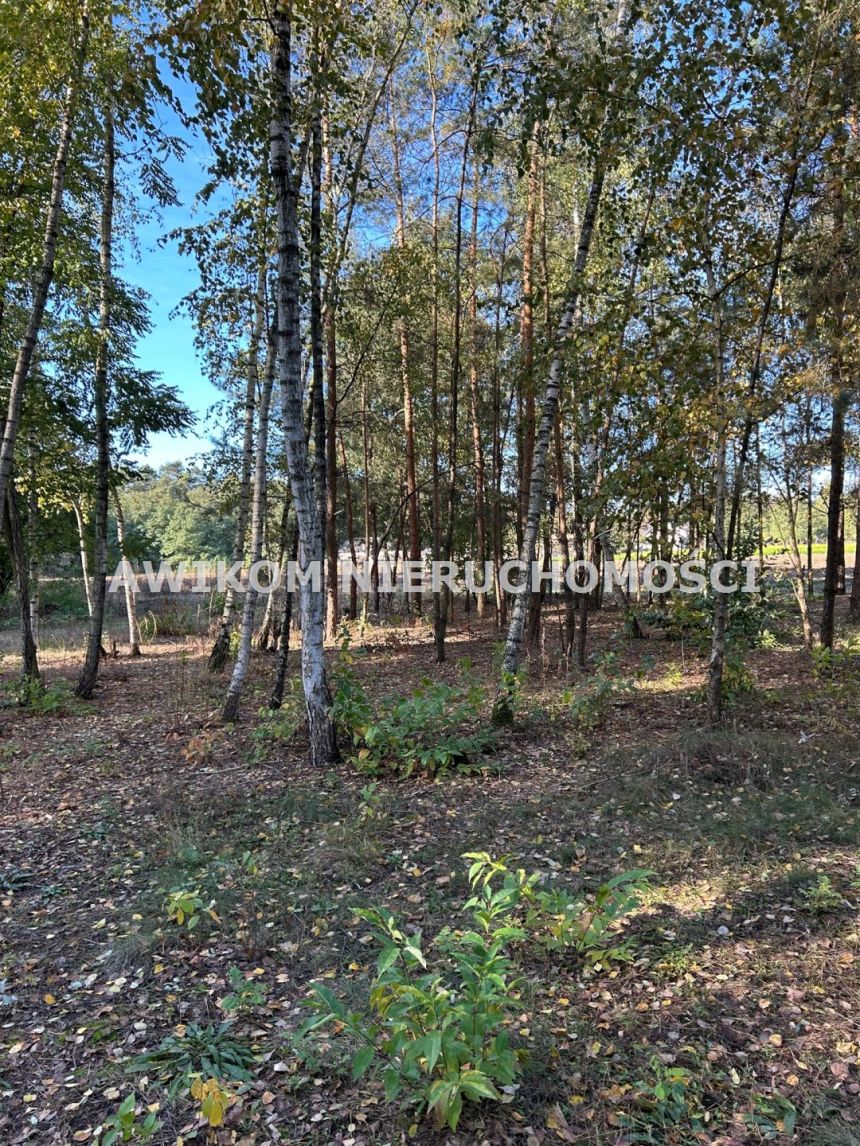 Wilczkowo, 225 450 zł, 30.06 ar, budowlana miniaturka 4