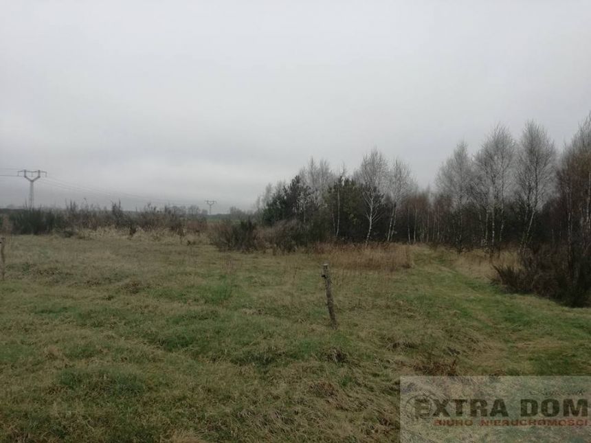 Karsk, 115 000 zł, 2.08 ha, o zróżnicowanym ukształtowaniu terenu miniaturka 6