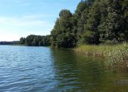 Działka pod lasem w pobliżu jeziora miniaturka 9