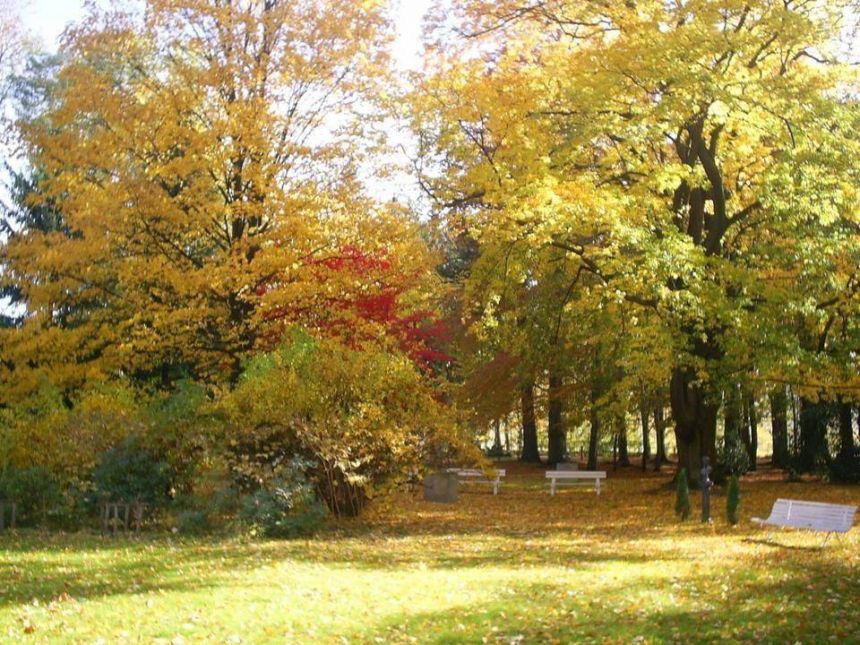 Obiekt  na sprzedaż, Kowary, 1500.00 m2 miniaturka 8