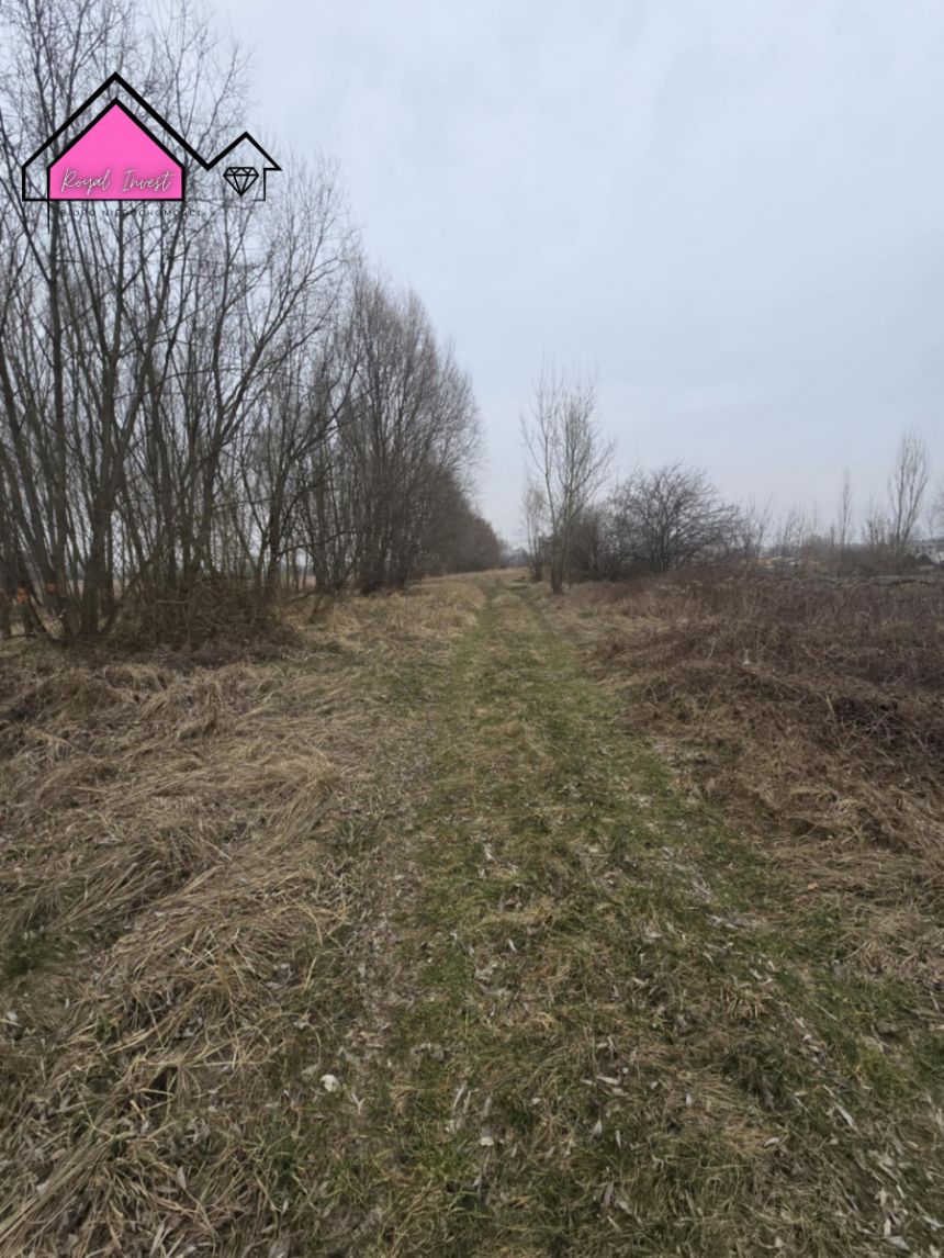 Konin Pociejewo, 315 000 zł, 81.56 ar, usługowa miniaturka 6