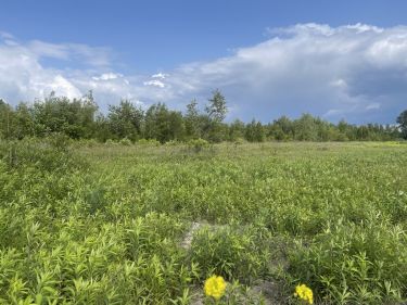 Ciemne, 9 460 000 zł, 2.2 ha, płaska