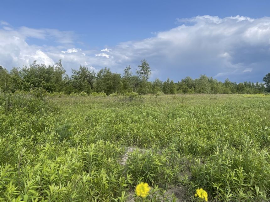 Ciemne, 9 460 000 zł, 2.2 ha, płaska - zdjęcie 1