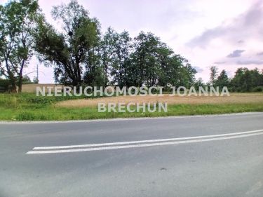 Tyniec Mały działka pod lasem