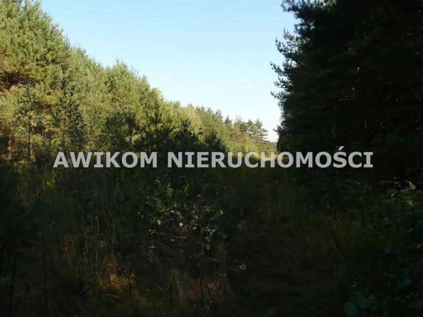 Przewodowice, 299 214 zł, 1.66 ha, woda w drodze miniaturka 6