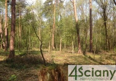 Sękocin-Las, 1 275 000 zł, 23.15 ar, droga dojazdowa utwardzona