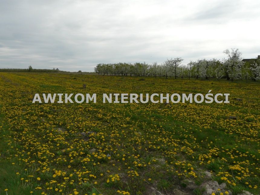 Wycinka Wolska, 124 020 zł, 1.03 ha, woda w drodze - zdjęcie 1