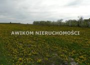 Wycinka Wolska, 124 020 zł, 1.03 ha, woda w drodze miniaturka 1