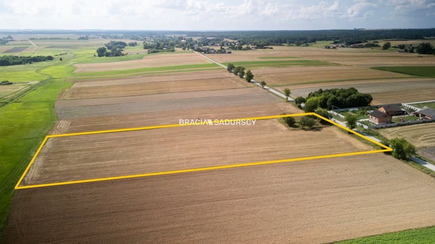 Działka budowlana 1,5 ha - Podsadek gm. Sędziszów! miniaturka 5