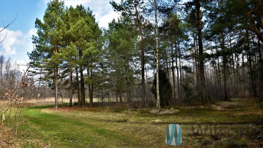 Ludwinów, 180 000 zł, 16 ar, przyłącze prądu miniaturka 4