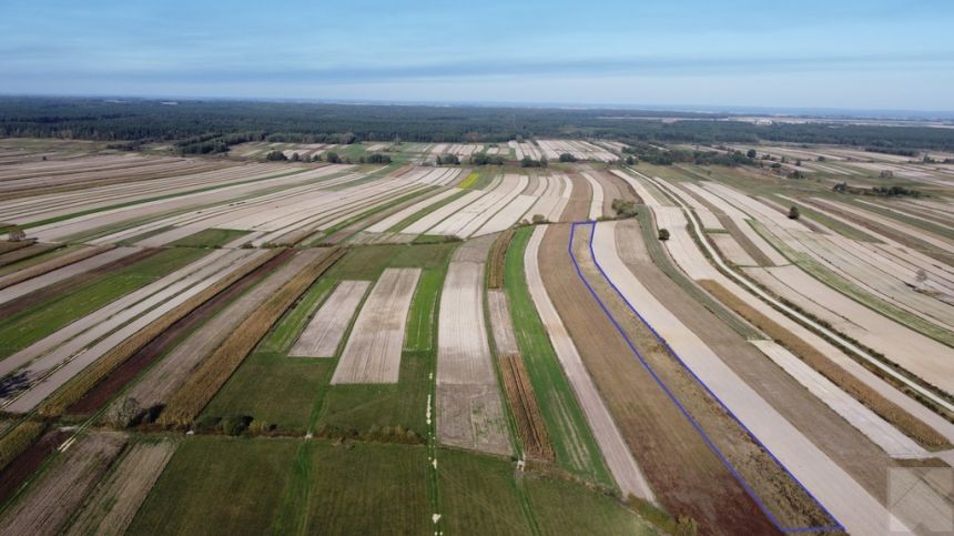 CEWKÓW - działka rolna 1,02 ha miniaturka 3