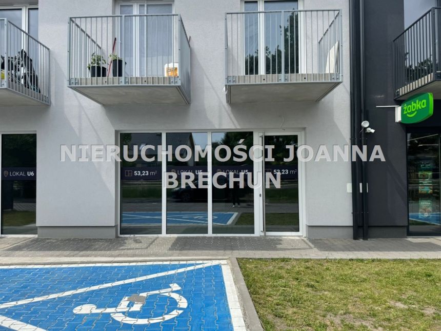 Iwiny / Z potencjałem miniaturka 2