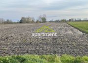 Pacanów, 379 000 zł, 165 m2, jasna kuchnia z oknem miniaturka 30