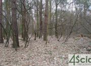 Sękocin-Las, 6 500 000 zł, 1.2 ha, woda w drodze miniaturka 4