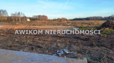 Radziejowice-Parcel, 11 500 000 zł, 4.46 ha, inwestycyjna