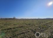 Krakowiany, 9 320 000 zł, 3.33 ha, inwestycyjna miniaturka 11