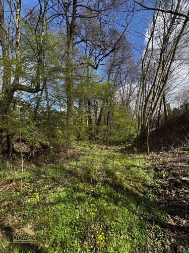 Bielsko-Biała Lipnik 75 000 zł 14 ar