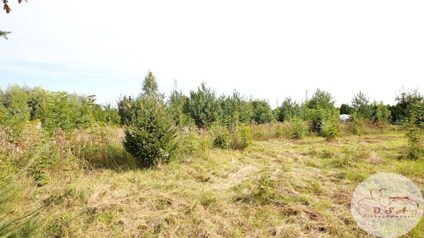 3 działki Witobel 3.562 m²*2 km Stęszew*blisko S5 miniaturka 3