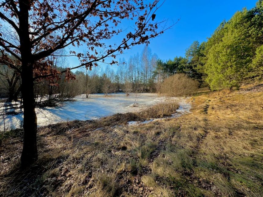 Działka leśna nad Pilicą-Ostrów gm. Aleksandrów miniaturka 4