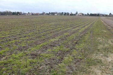 Działka w doskonałej lokalizacji-5 min. od Zalewu