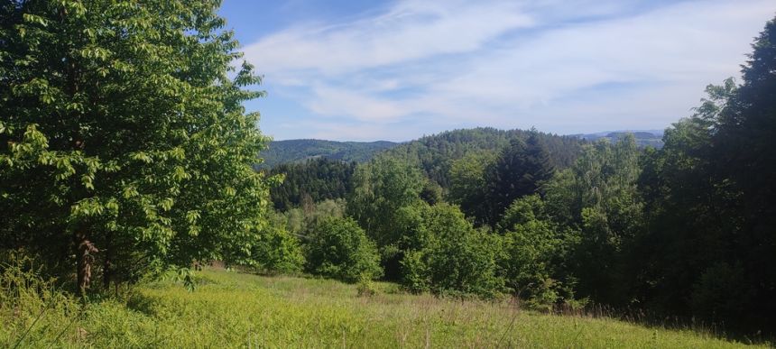 Działka budowlana- Tropie- Gródek nad Dunajcem miniaturka 10