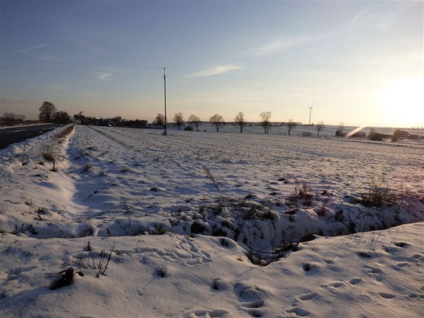 DOM 100 m2, DZIAŁKA 1,65 ha, 2 km OD PRZEDBORZA miniaturka 6