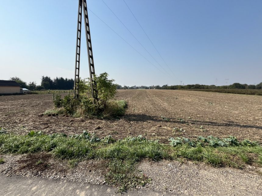 Działka rolno-budowlana 0,62 ha w Gołębiu k/Puław. miniaturka 8