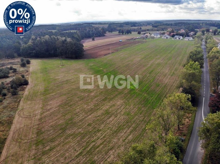 Brzeźnik, 2 450 000 zł, 3.5 ha, droga dojazdowa asfaltowa miniaturka 4