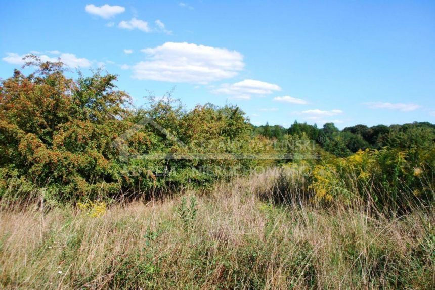 Snopków, gmina Jastków, działka budowlano-rolna, pow. 1,61 ha miniaturka 11