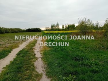 Miłoszyce, 1 260 000 zł, 90 ar, budowlana