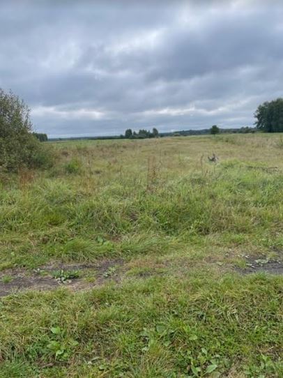 Działka rolna o powierzchni 6000 m2. miniaturka 2